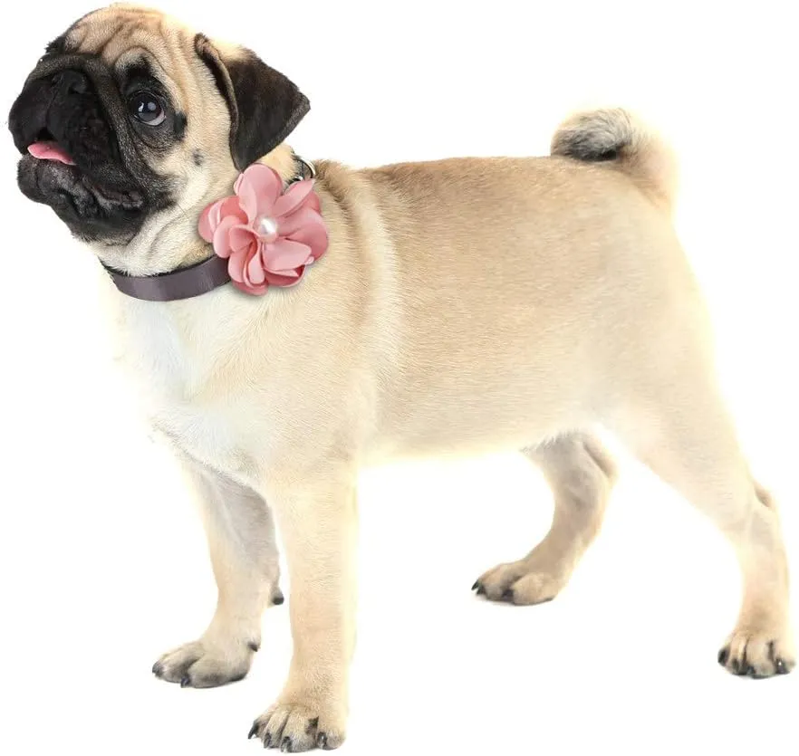 2PCS Cat Collars Bow Tie Dog Collars, Detachable Flower Dog Cat Collar with Bell, Adjustable Nylon Dog Collar for Small Medium Dogs and Cats (Small)