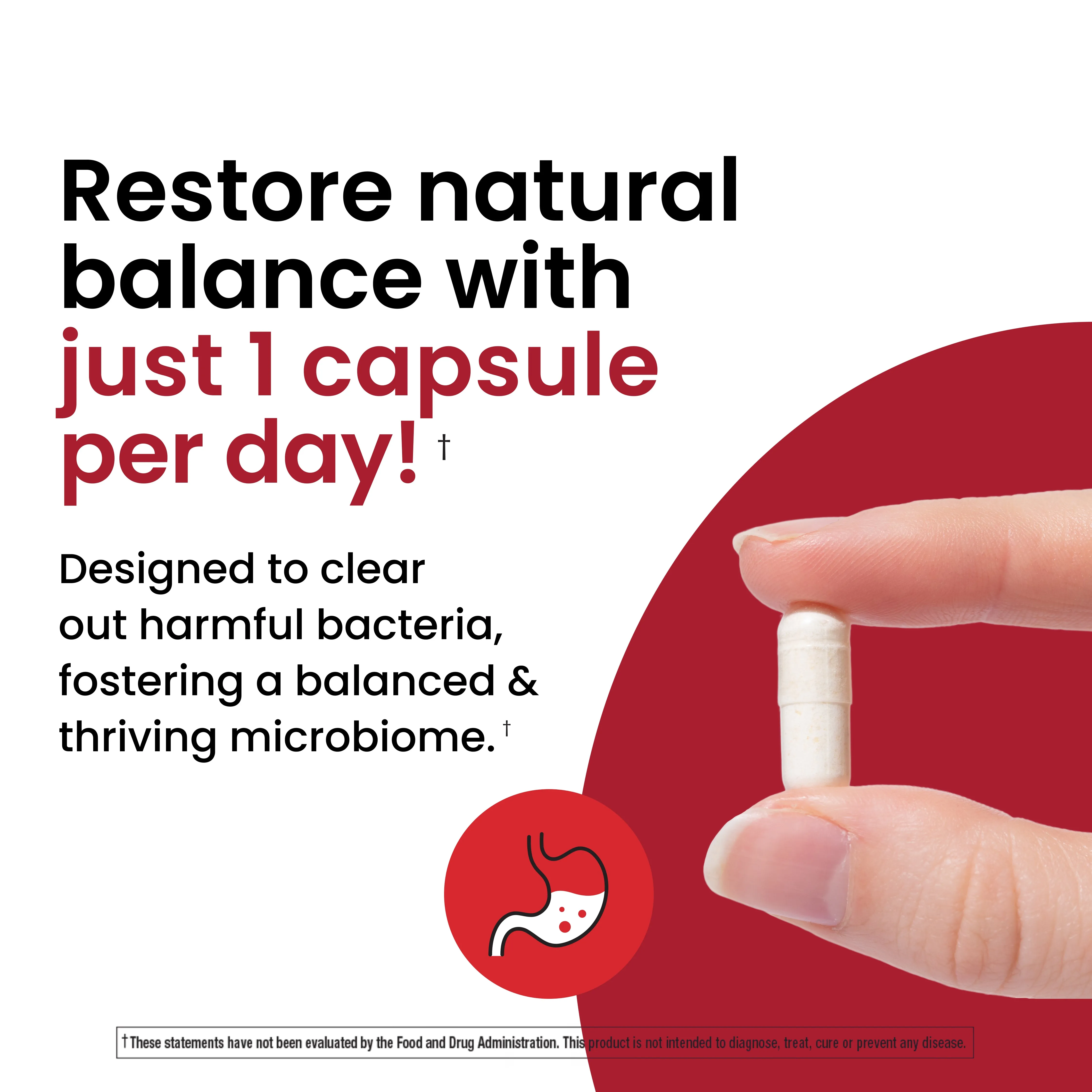 3-in-1 Probiotic 