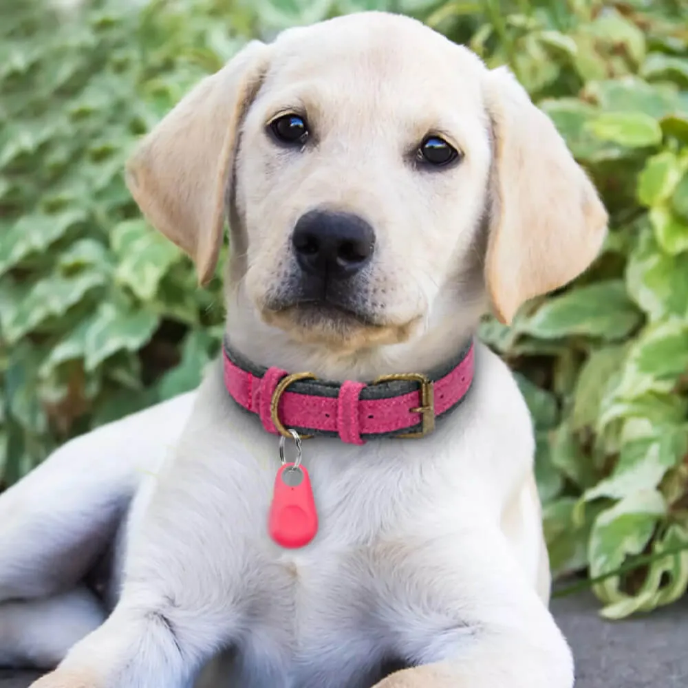 Anti-Lost Pet GPS Tracker