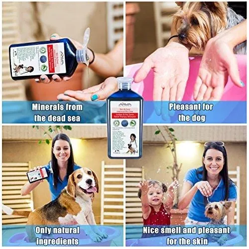 Arava Natural Medicated Dog Shampoo - Antibacterial Antifungal Anti Yeast Anti Itch Dog Shampoo - Healthy Skin & Coat - First Aid in Hot Spots Ringworm Scrapes Abrasions & Dermatologic Infections