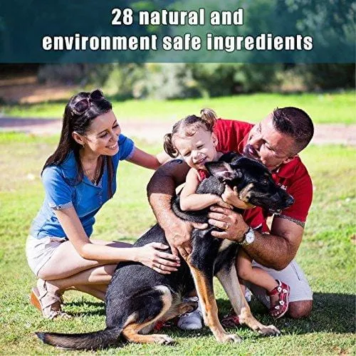 Arava Natural Medicated Dog Shampoo - Antibacterial Antifungal Anti Yeast Anti Itch Dog Shampoo - Healthy Skin & Coat - First Aid in Hot Spots Ringworm Scrapes Abrasions & Dermatologic Infections