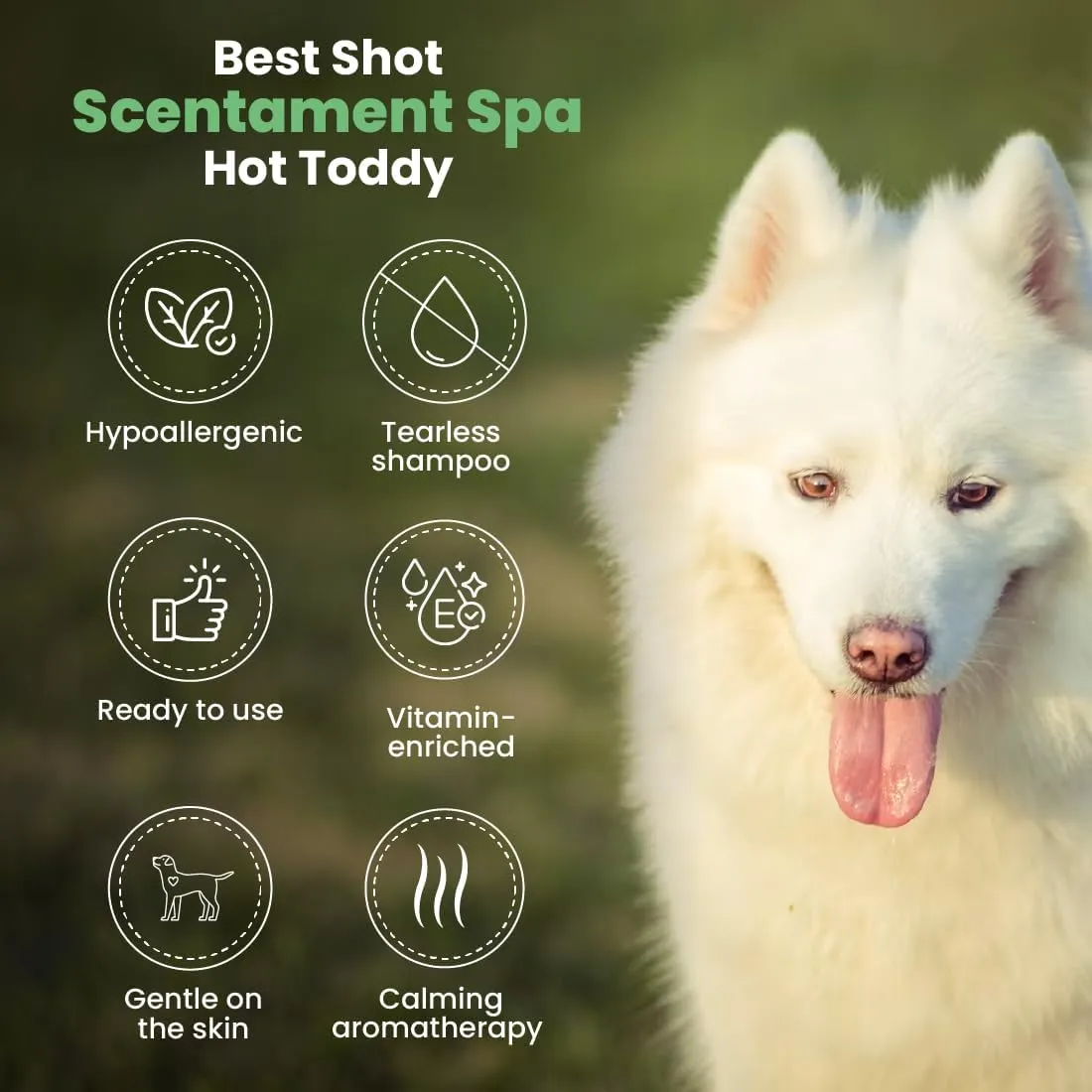 Best Shot Scentament Spa ,,,,,16 