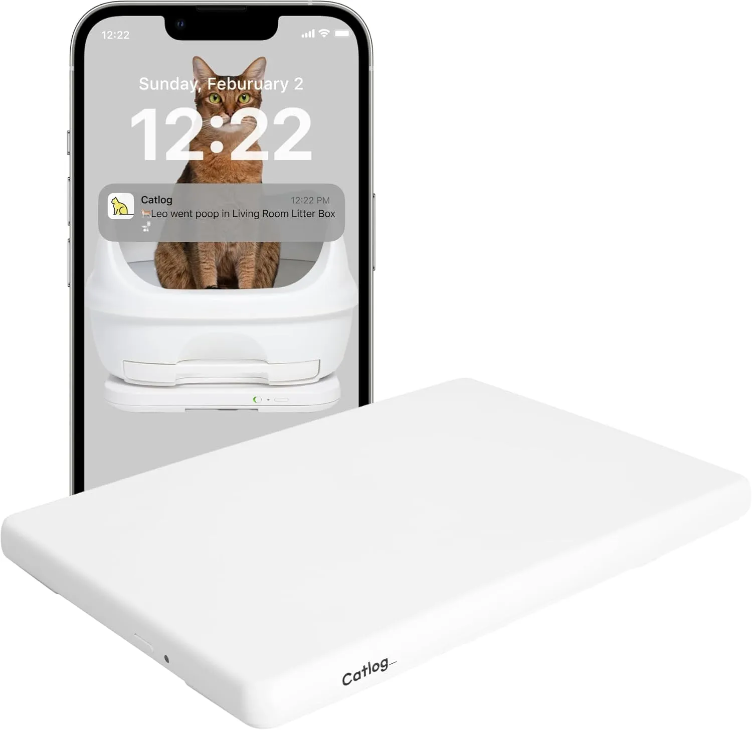 Board - Smart Litter Box Monitoring System, Healthcare, Scale, Weight, Automatic Recording, Works with Any Litter Box, IoT, Smartdevice, App, Excretion, for Cat, All Breeds