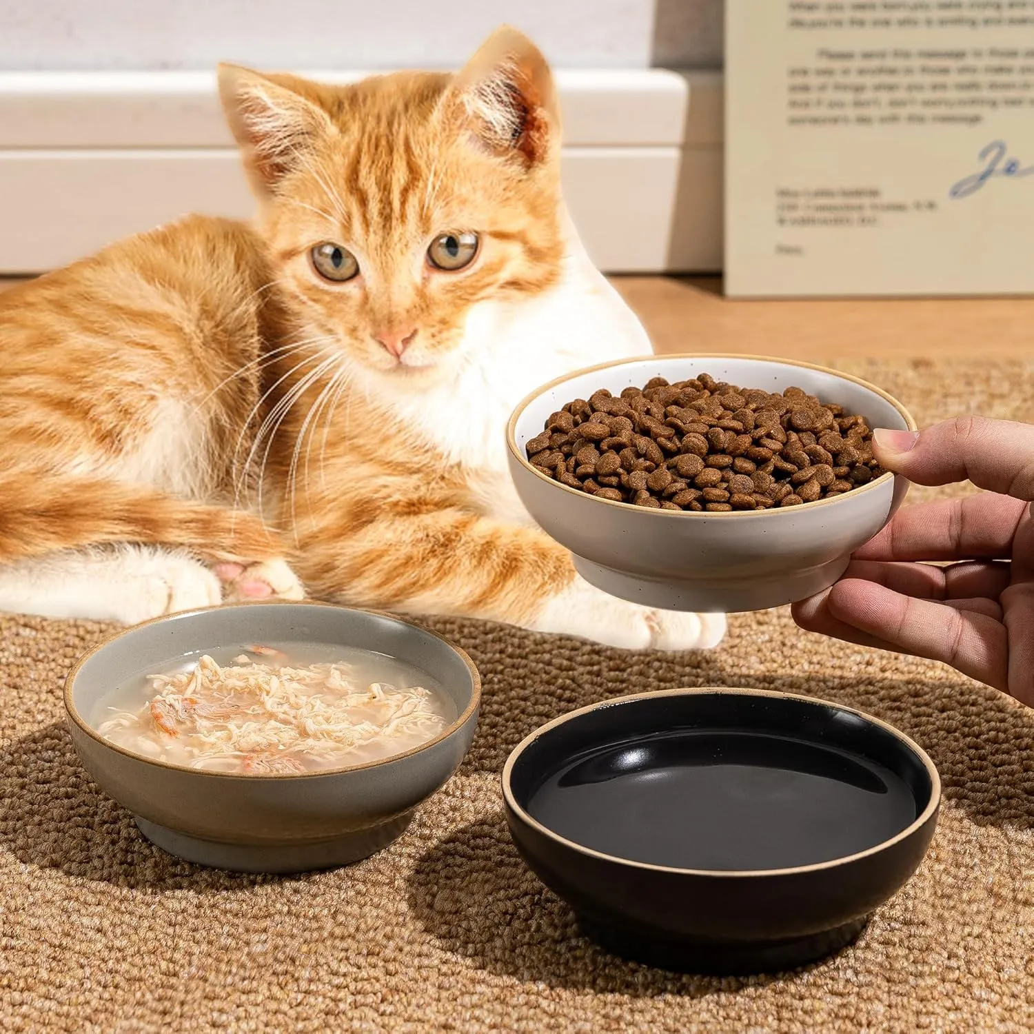 Cat Bowl Set of 3, Non Slip Dish Pet Cat Food Bowls, Shallow Water Bowl Cat Feeding Wide Bowls to Stress Relief of Whisker Fatigue, Pet Bowl for Dogs Rabbits Puppy Birds(Safe Food-Grade Ceramic) Gray