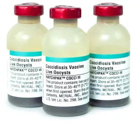 Coccidiosis Vaccination (Chickens Only)