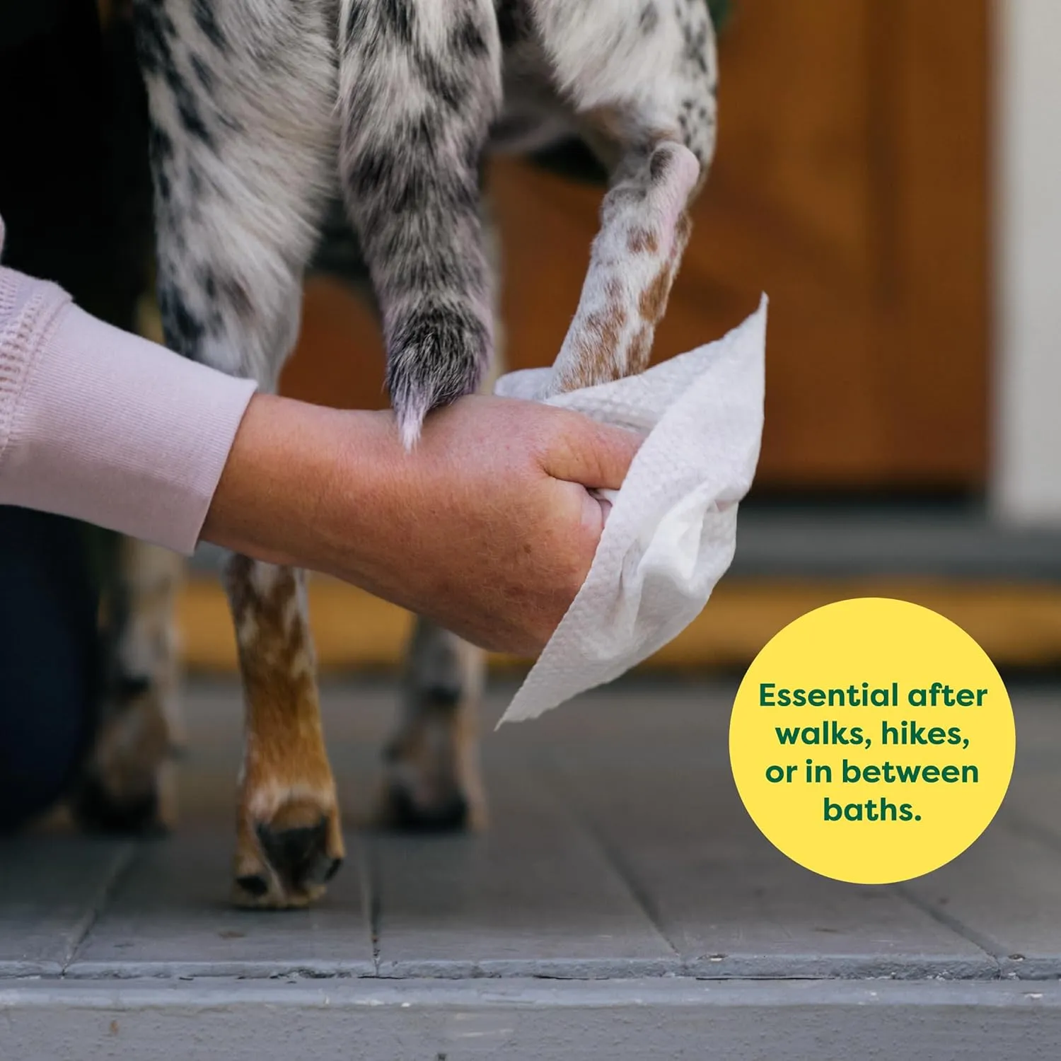 Earth Rated Dog Grooming Wipes, Hypoallergenic, Cleaning and Hydrating, for Paws, Body and Butt, Lavender Scented, 400 Count