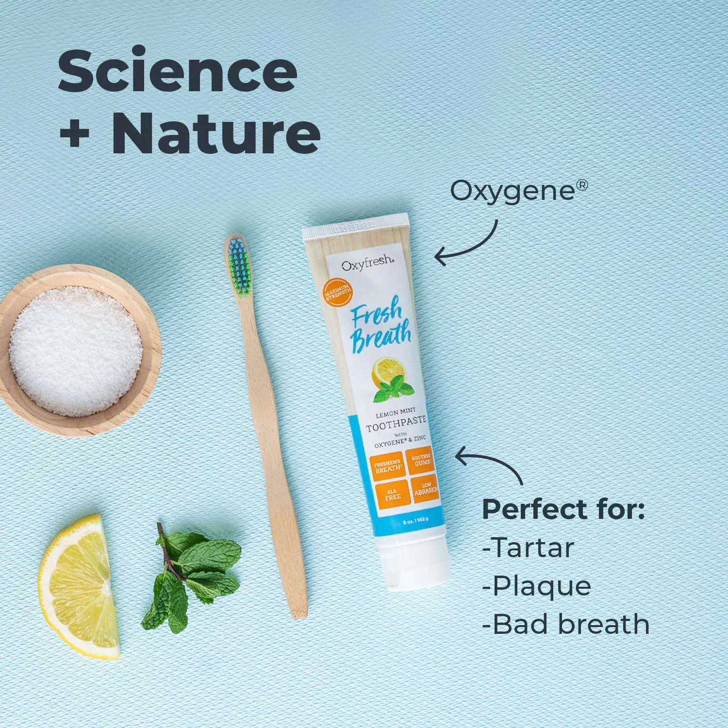Fresh Breath Lemon Mint Toothpaste | 24 Hr Protection | Fluoride Free
