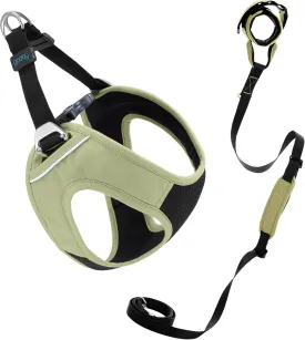 Gooby Escape Free Easy Fit Plus Harness and Wristband Surfer Leash with Traffic Handle Set-Portland Green, Large, 6 FT-Secure Harness and Handsfree Leash with Dual Handle for Small and Medium Dog
