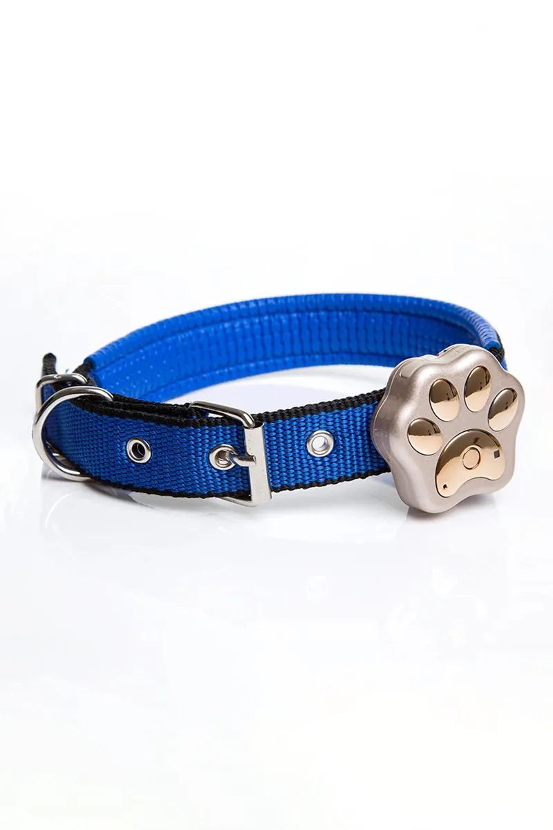 GPS Pet Tracker