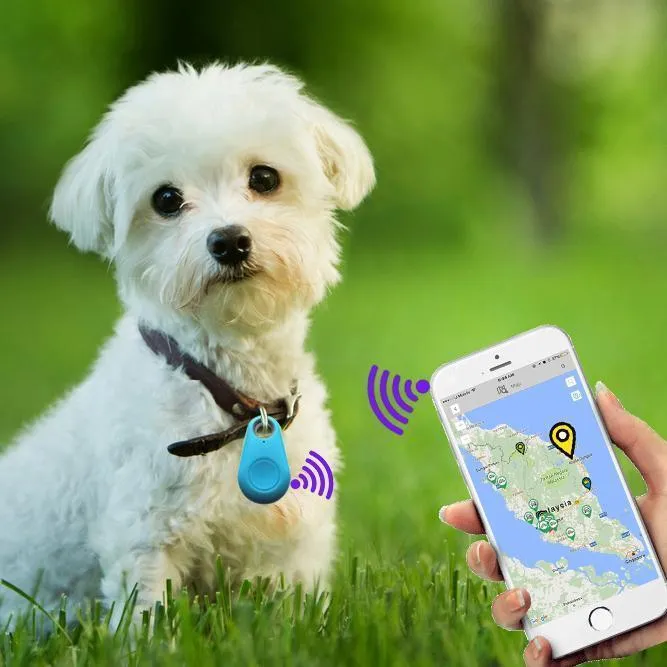 GPS Pet Tracker