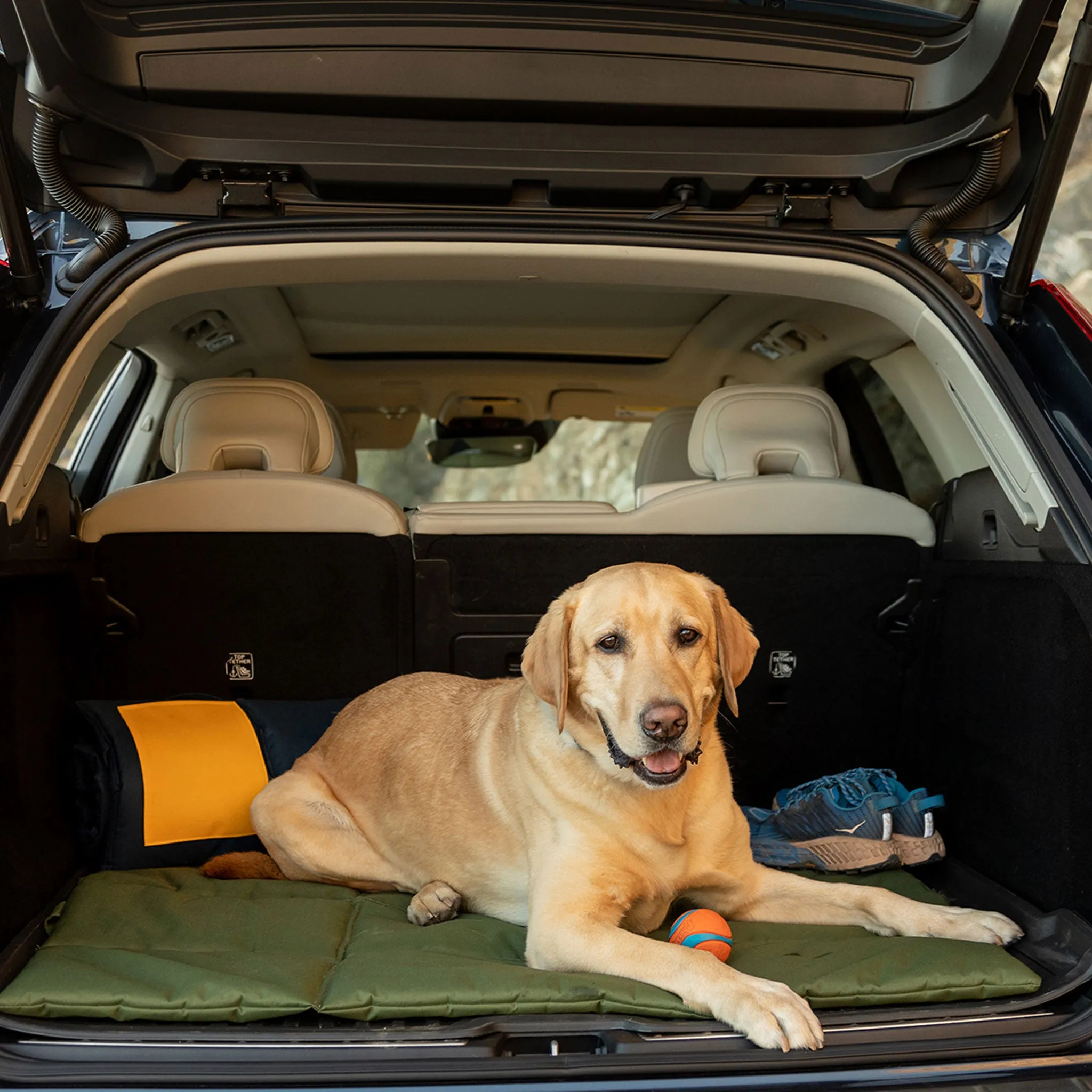 Jax & Bones 3 in 1 Roll Up Mat Olive Dog Beds