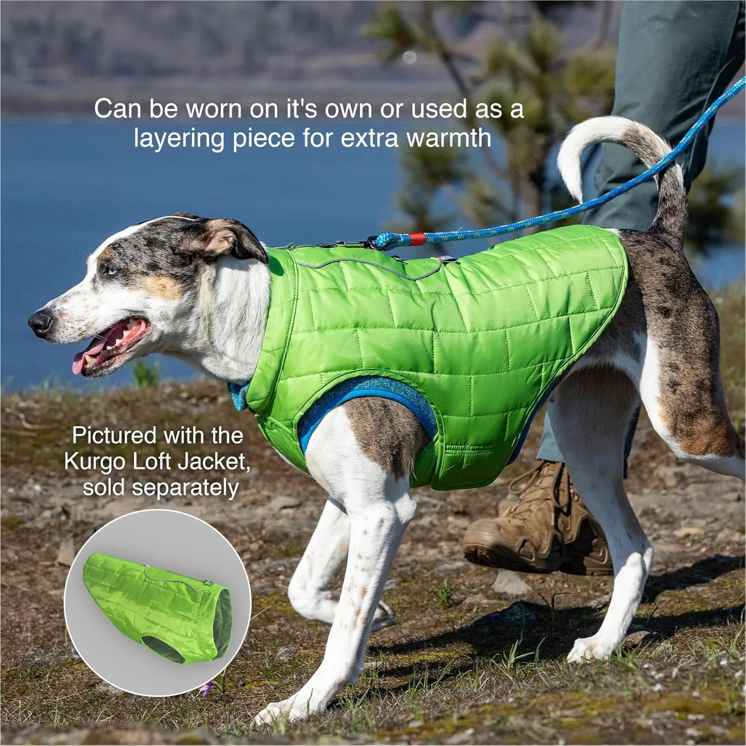 Kurgo Core Dog Sweater, Knit Dog Sweater with Fleece Lining, Cold Weather Pet Jacket, Zipper Opening for Harness, Adjustable Neck, Year-Round Sweater for Small Dogs (Heather Green, Small)