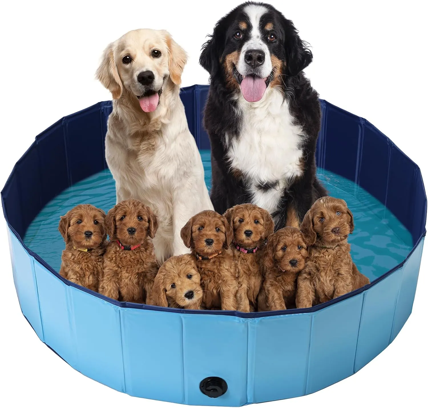 Large Dog Whelping Box, 47.2 Dia.  11.8H Foldable Birthing Pool for Dogs, Puppies, Poartable Plastic Swimming Pool & Bath Tub for Dogs, 120cm  30cm