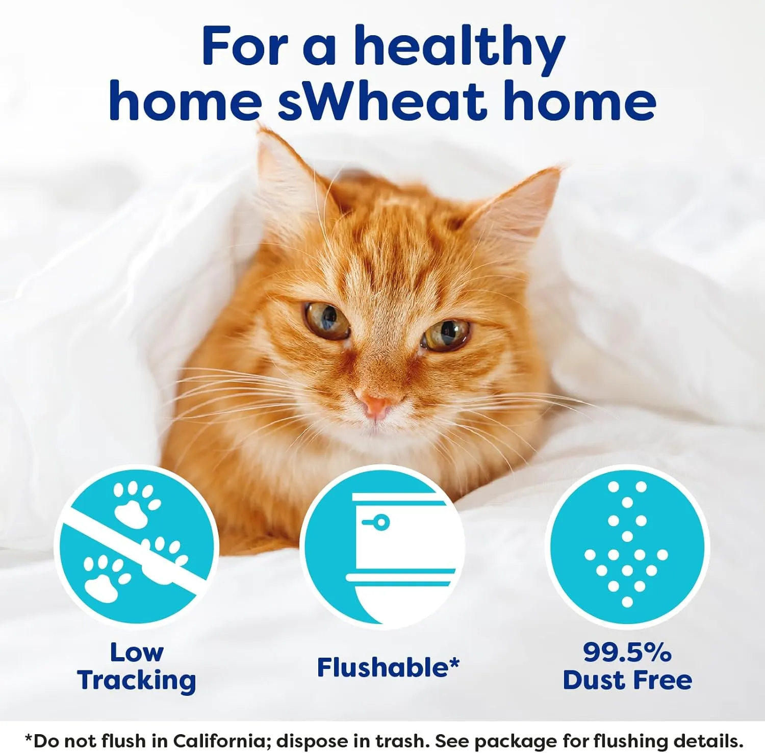 Natural Wheat Cat Litter, Original, Fast Clumping with Odor Neutralizing Enzymes, 25 Pound Bag