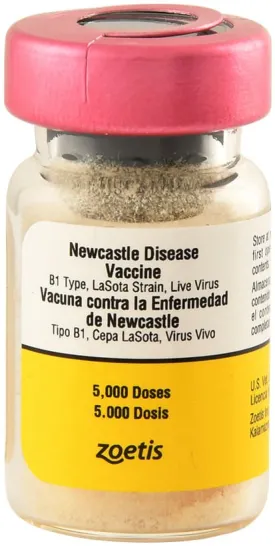 Newcastle Disease Vaccine, 5000 dose