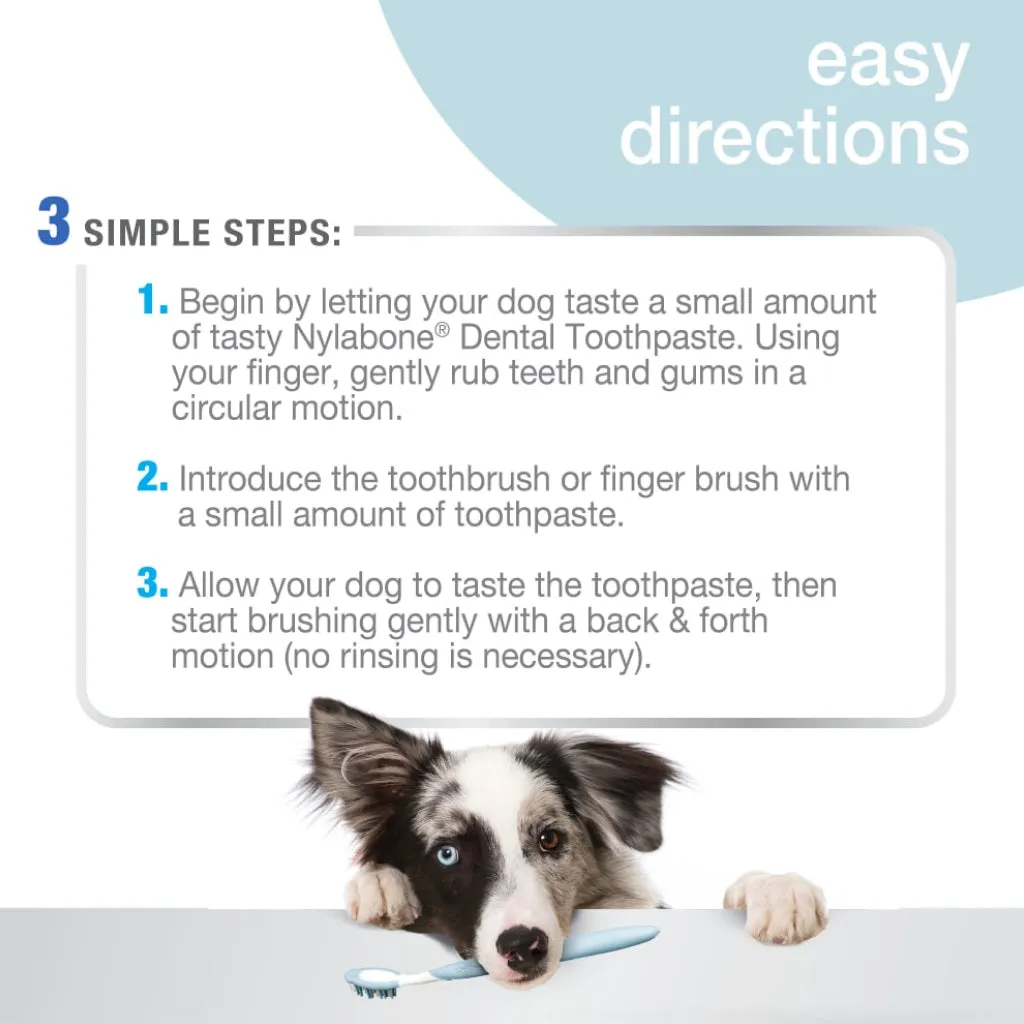Nylabone Advanced Oral Care Natural Toothpaste- Peanut Butter Flavor (2.5 oz)