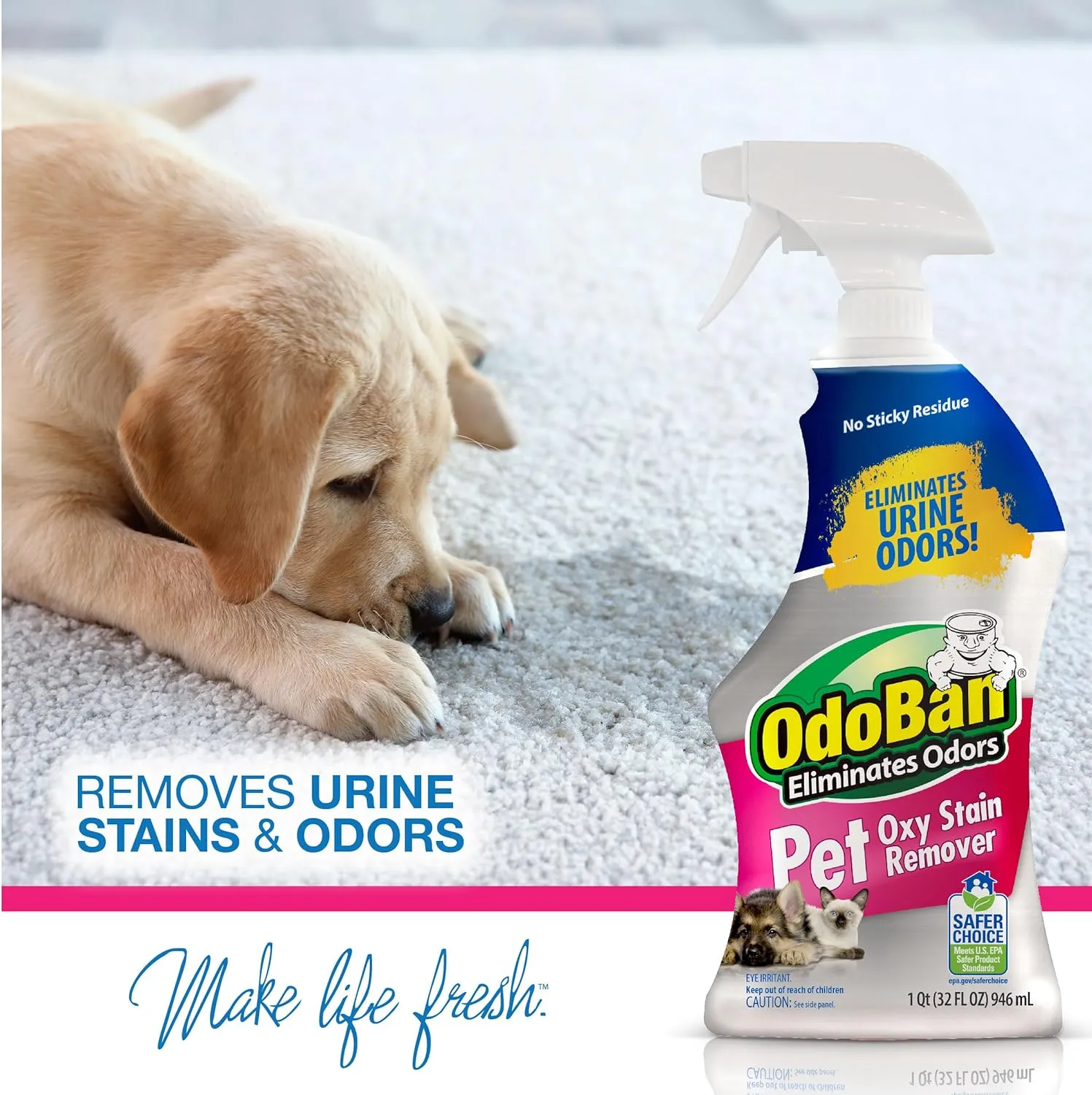 OdoBan Pet Solutions Oxy Stain Remover, Pet Stain Eliminator, 6-Pack, 32 Ounce Spray Each