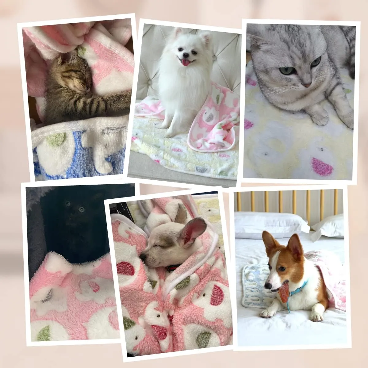 Pet Soft 1 Pack 3 Pet Blankets for Dogs - Fluffy Cats Dogs Blanket for Small Medium & Large Dog, Cute Print Pet Throw Puppy Blankets Fleece (Elephant, 3XL)