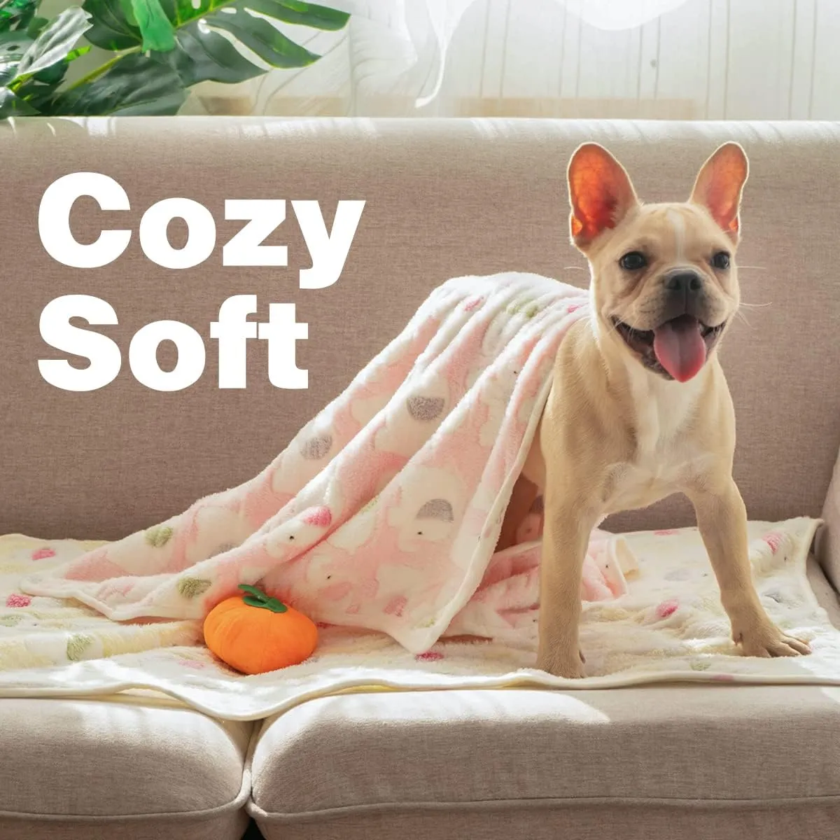 Pet Soft 1 Pack 3 Pet Blankets for Dogs - Fluffy Cats Dogs Blanket for Small Medium & Large Dog, Cute Print Pet Throw Puppy Blankets Fleece (Elephant, 3XL)