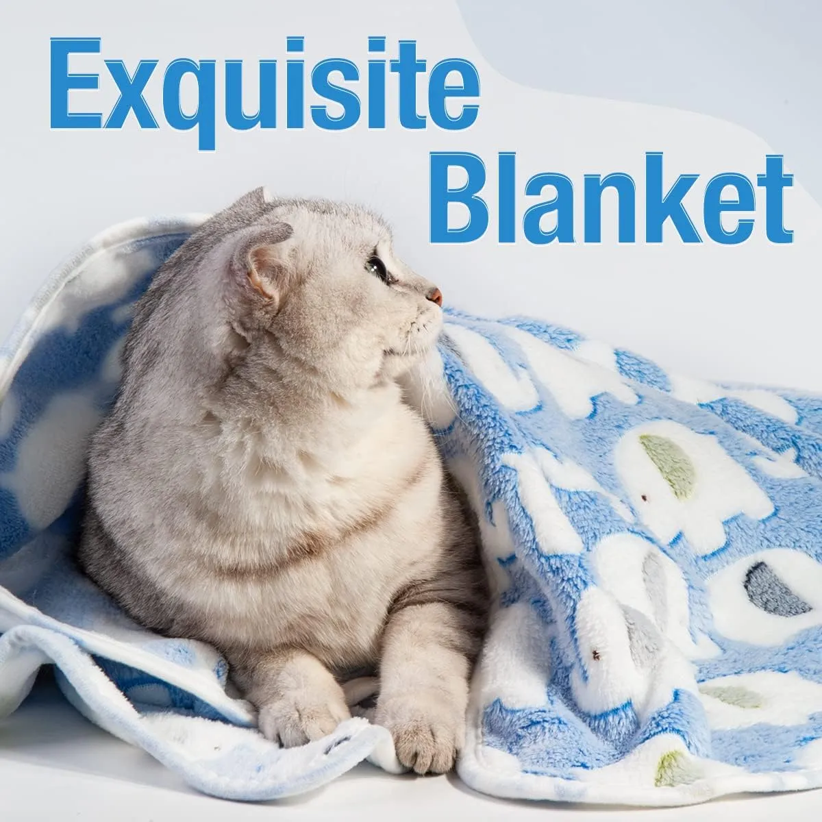 Pet Soft 1 Pack 3 Pet Blankets for Dogs - Fluffy Cats Dogs Blanket for Small Medium & Large Dog, Cute Print Pet Throw Puppy Blankets Fleece (Elephant, 3XL)