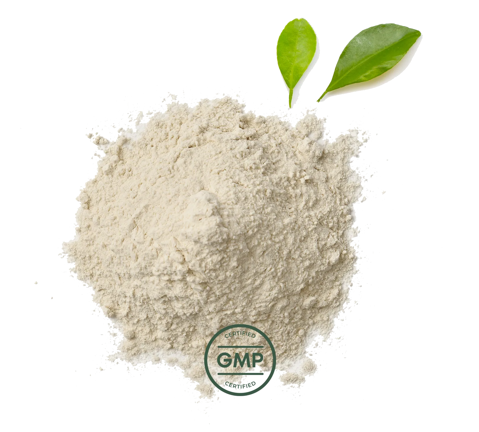 Primal Probiotics