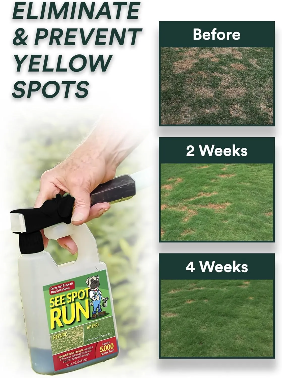 See Spot Run Eliminate Yellow Spots On Your Lawn Caused by Dog Urine | All-Natural, Safe for Pets and Humans | Made in The USA | Ready-to-Mix Gallon (32 oz)