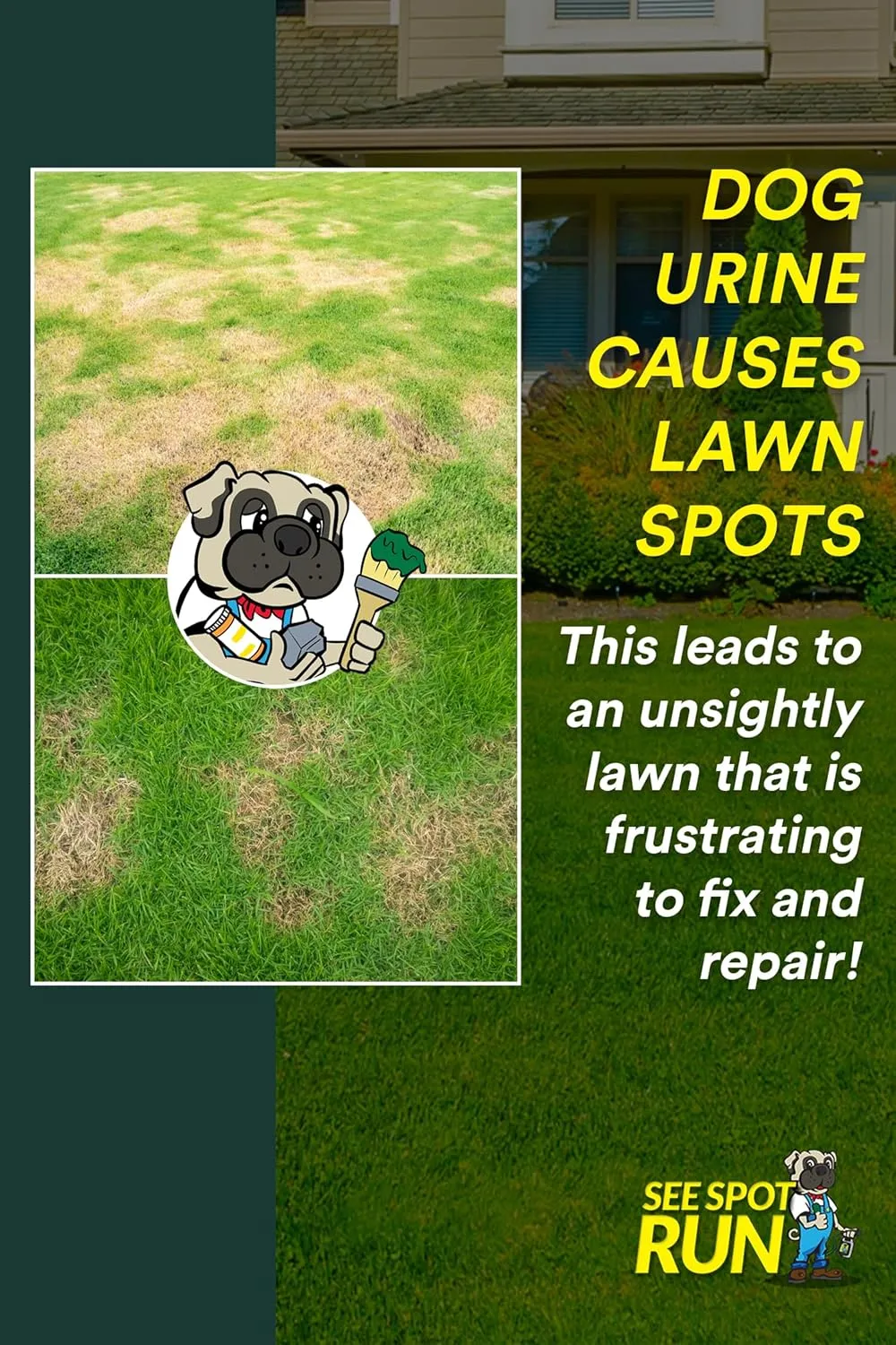 See Spot Run Eliminate Yellow Spots On Your Lawn Caused by Dog Urine | All-Natural, Safe for Pets and Humans | Made in The USA | Ready-to-Mix Gallon (32 oz)