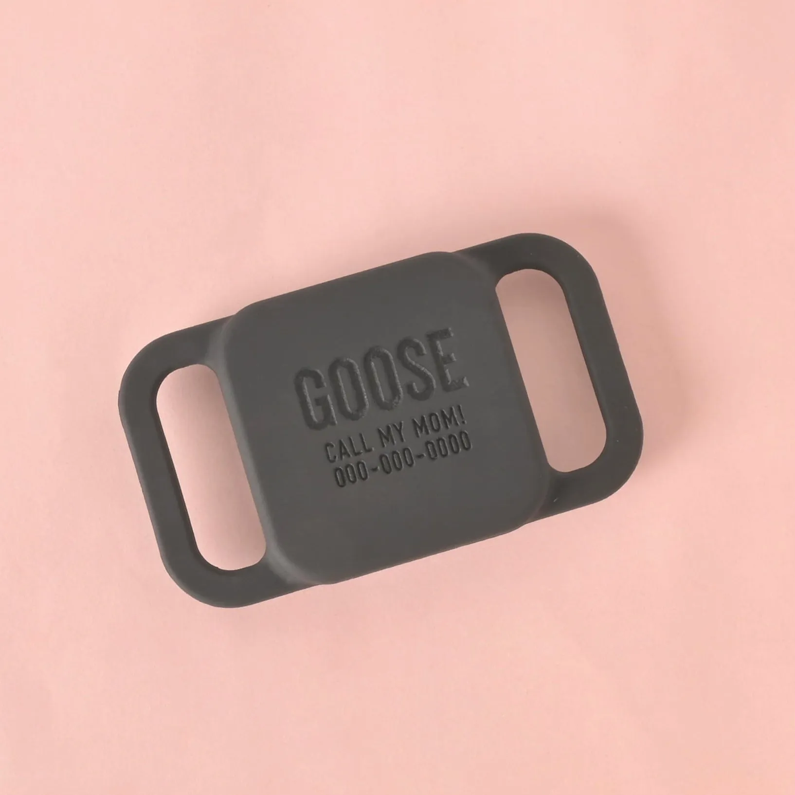 Slide-on Personalized Pet Tag, Tile Mate 2020 & 2018 holder