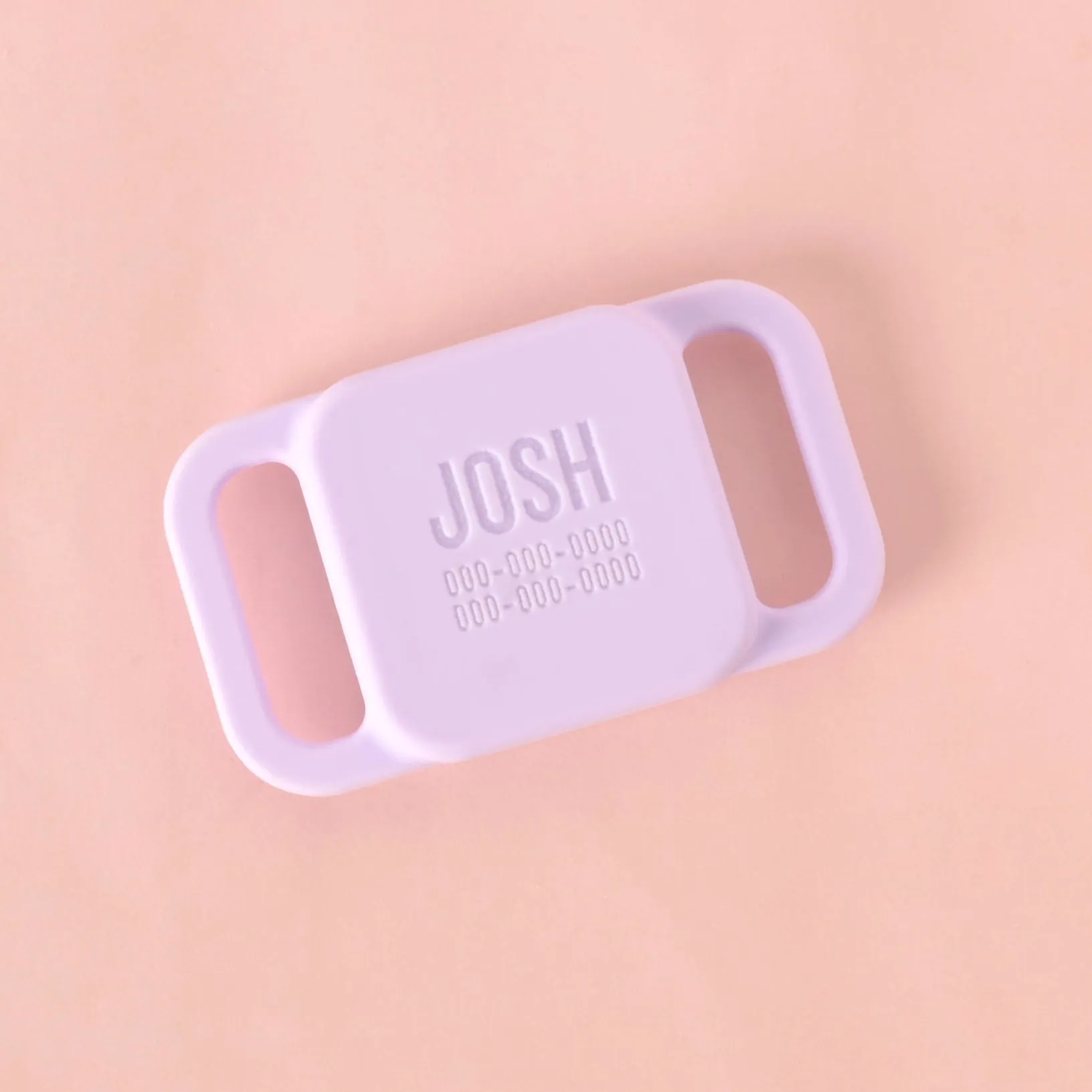 Slide-on Personalized Pet Tag, Tile Mate 2020 & 2018 holder