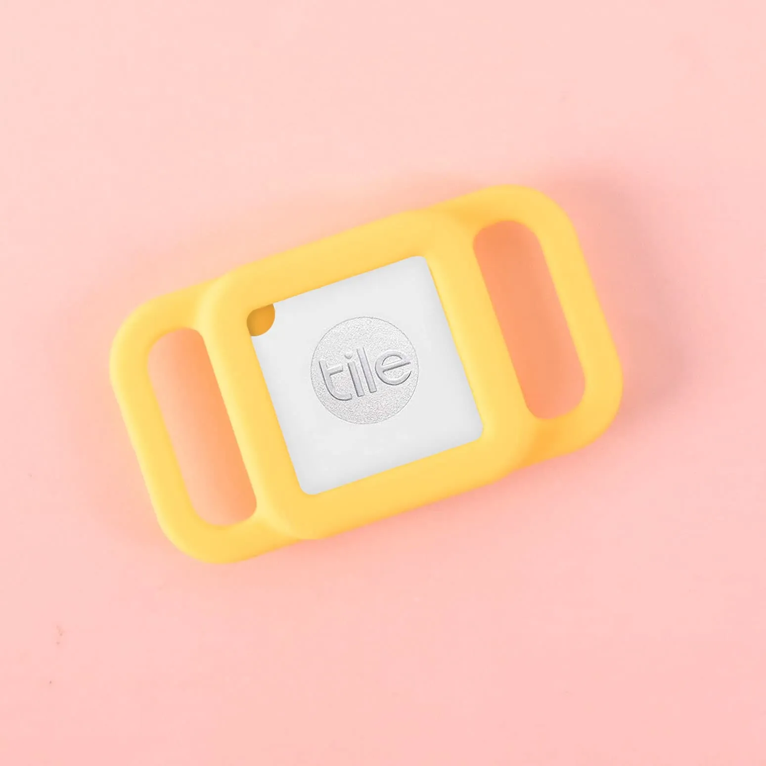 Slide-on Personalized Pet Tag, Tile Mate 2020 & 2018 holder