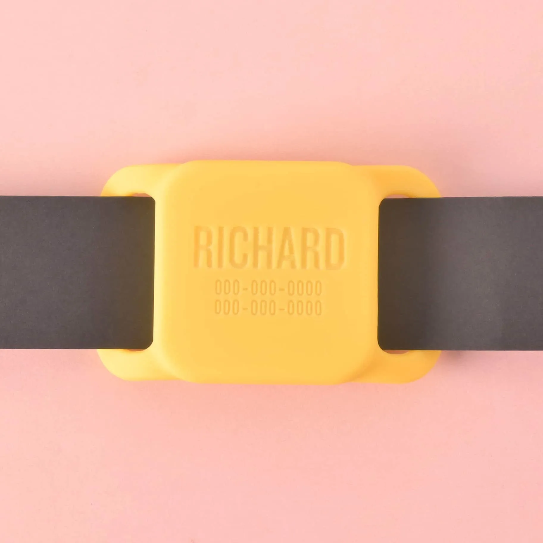 Slide-on Personalized Pet Tag, Tile Mate 2020 & 2018 holder
