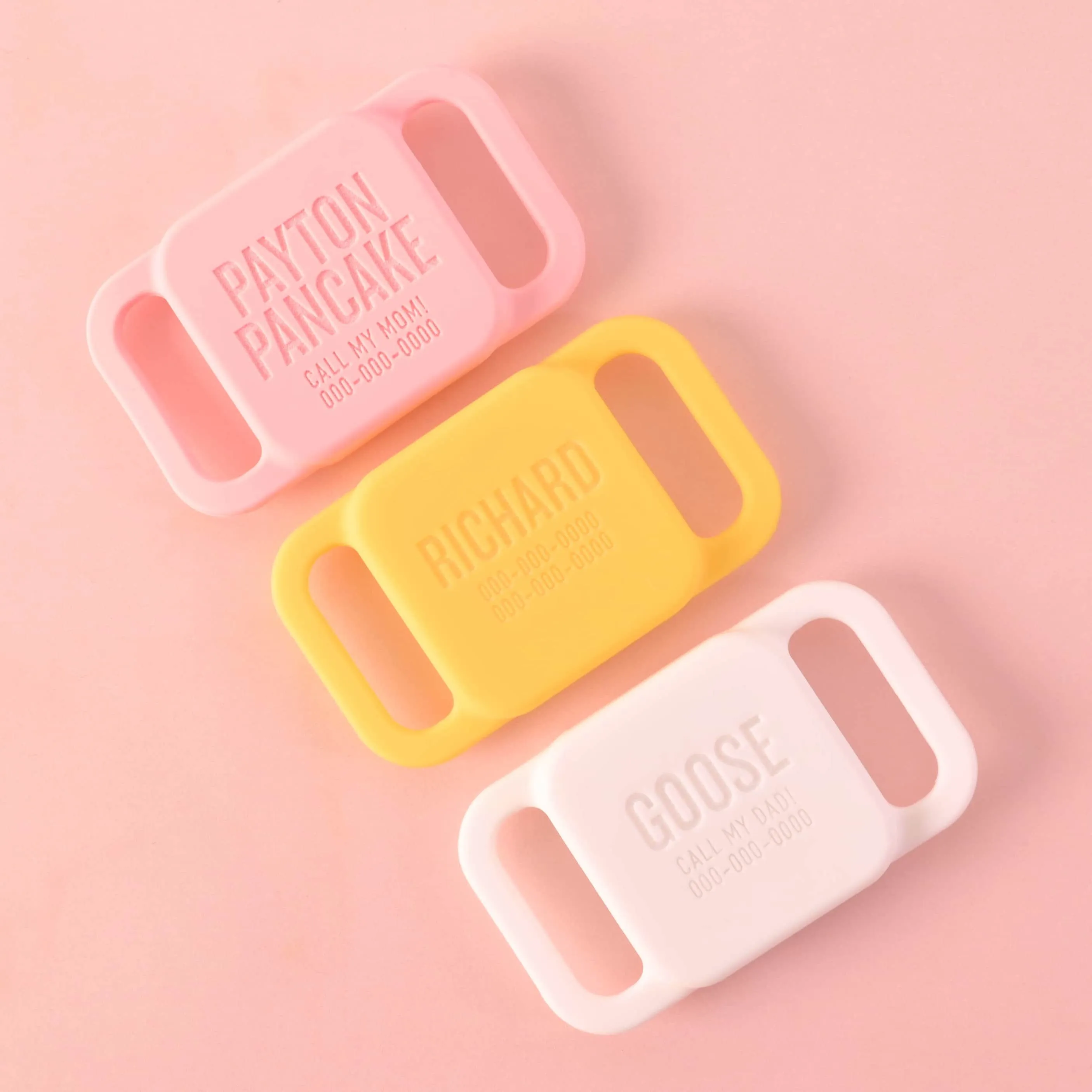 Slide-on Personalized Pet Tag, Tile Mate 2020 & 2018 holder