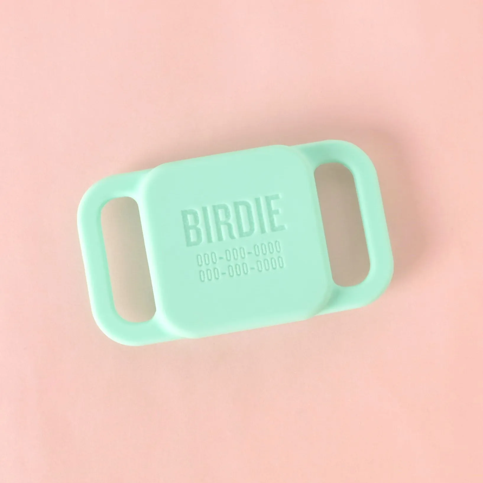 Slide-on Personalized Pet Tag, Tile Mate 2020 & 2018 holder