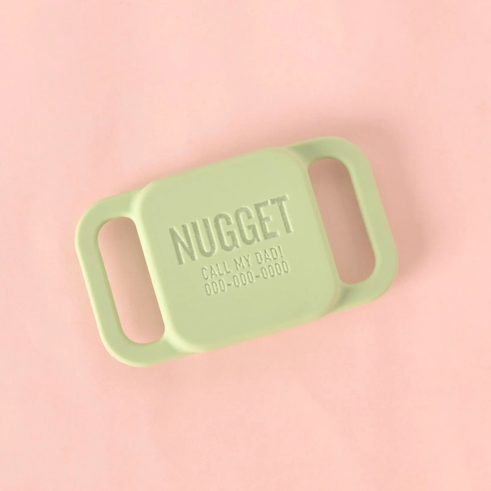 Slide-on Personalized Pet Tag, Tile Mate 2020 & 2018 holder