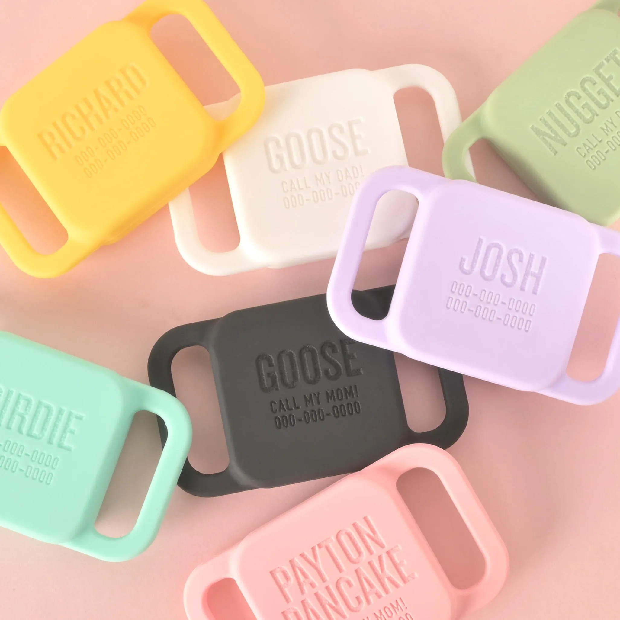 Slide-on Personalized Pet Tag, Tile Mate 2020 & 2018 holder