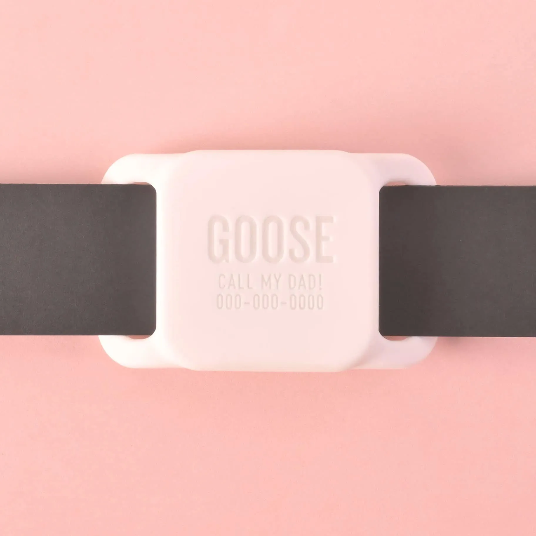 Slide-on Personalized Pet Tag, Tile Mate 2020 & 2018 holder