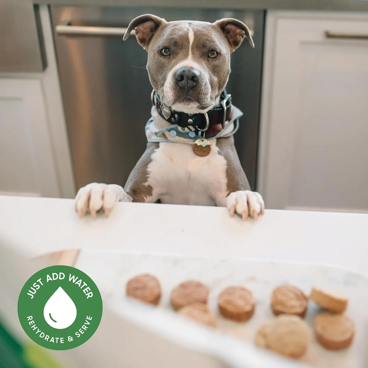 smallbatch Pets Freeze-Dried Premium Raw Food Diet for Dogs, Lamb Recipe, 14 oz, Made in The USA, Organic Produce, Humanely Raised Meat, Hydrate and Serve Patties, Single Source Protein, Healthy