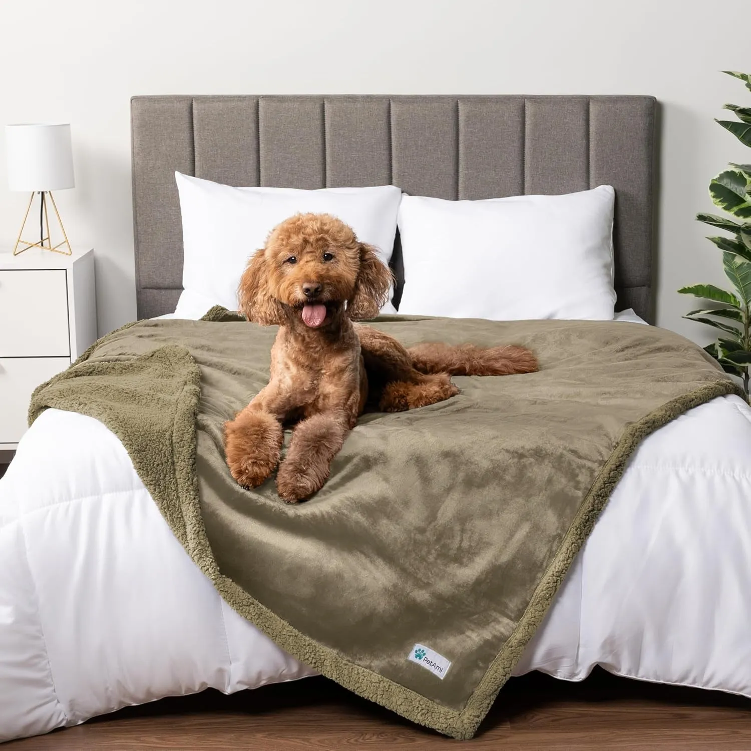 Waterproof Dog Blanket for Bed, Couch, Sofa | Waterproof Dog Bed Cover for Large Dogs, Puppies | Sherpa Fleece Pet Blanket Furniture Protector | Reversible Microfiber