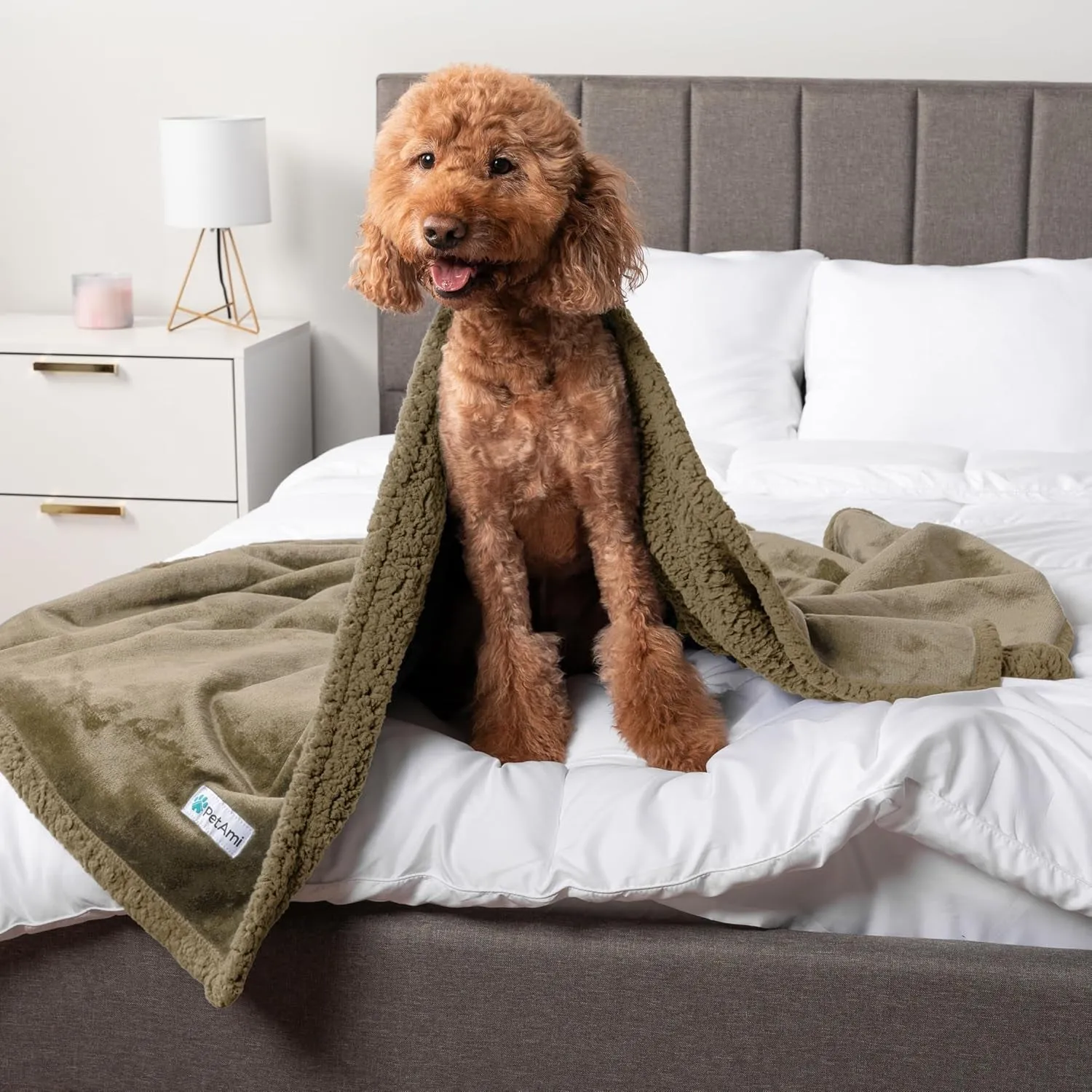 Waterproof Dog Blanket for Bed, Couch, Sofa | Waterproof Dog Bed Cover for Large Dogs, Puppies | Sherpa Fleece Pet Blanket Furniture Protector | Reversible Microfiber