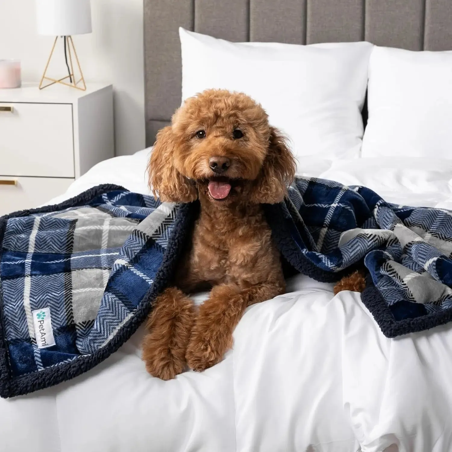 Waterproof Dog Blanket for Small Medium Dog, Pet Puppy Blanket Couch Cover Protection, Sherpa Fleece Cat Blanket Couch Sofa Bed Furniture Protector Reversible Soft Washable 29X40 Plaid Navy