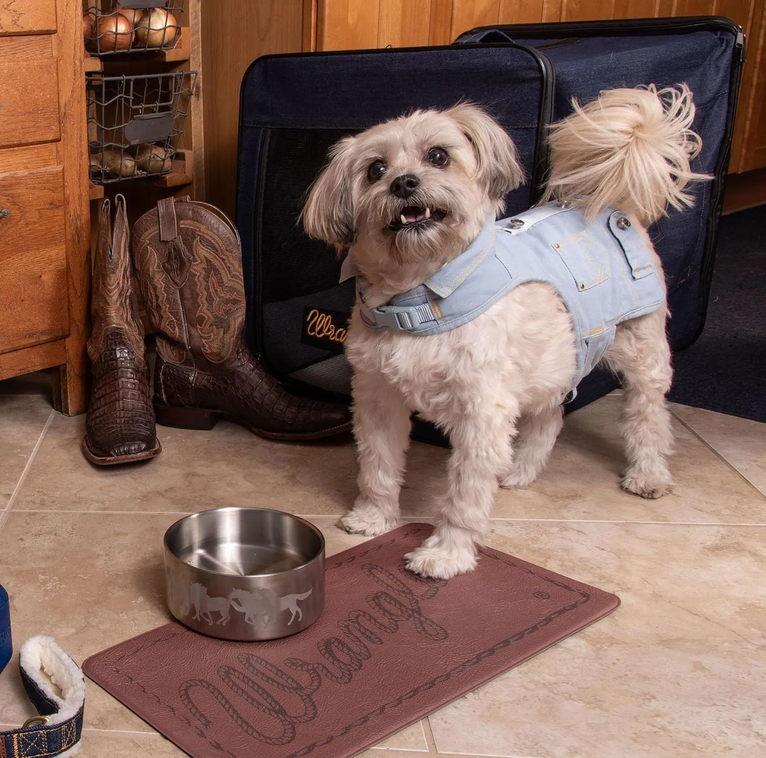 Wrangler Stainless Steel Dog Bowl  Heavy-Duty Double-Walled, Rust-Resistant, Non-Slip Silicone Base - Hygienic & Dishwasher Safe for Easy Cleaning (S)